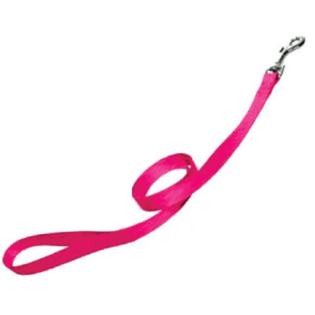 Papillon οδηγός νάυλον ροζ 25mm x 120cm Papillon οδηγός νάυλον ροζ 25mm x 120cm