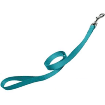 Papillon οδηγός νάυλον τιρκουάζ 15mm x 120cm Papillon οδηγός νάυλον τιρκουάζ 15mm x 120cm