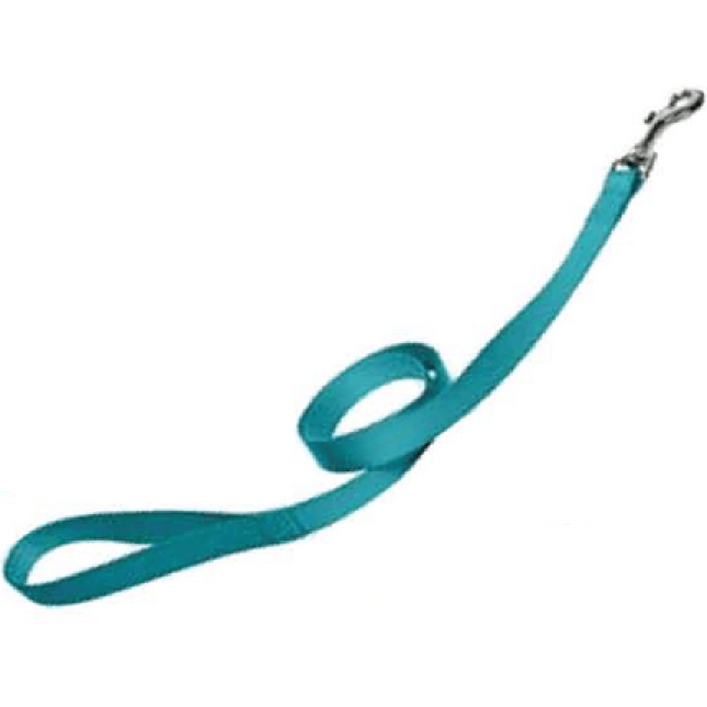 Papillon οδηγός νάυλον τιρκουάζ 15mm x 120cm Papillon οδηγός νάυλον τιρκουάζ 15mm x 120cm