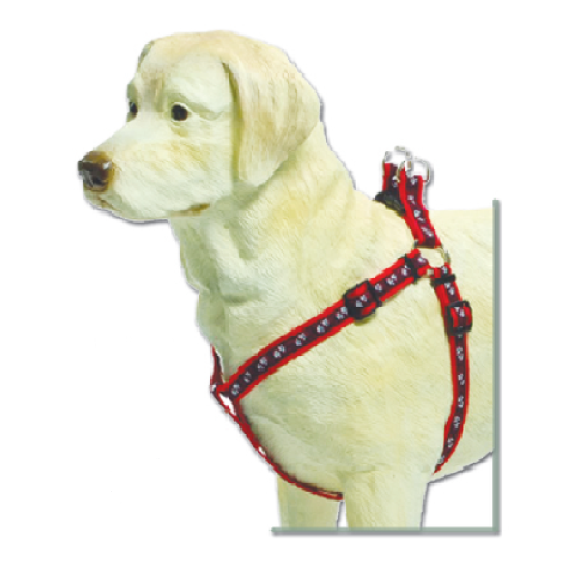 Beeztees σαμαράκι νάυλον Paw print, κόκκινο 10x30-50 Beeztees σαμαράκι νάυλον Paw print, κόκκινο 10x30-50