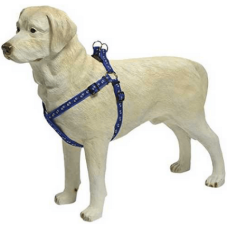 Beeztees σαμαράκι νάυλον Paw print, μπλε 10x30-50 Beeztees σαμαράκι νάυλον Paw print, μπλε 10x30-50