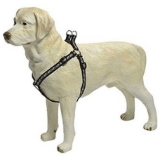 Beeztees σαμαράκι νάυλον Paw print, μαύρο 20x40-70 Beeztees σαμαράκι νάυλον Paw print, μαύρο 20x40-70
