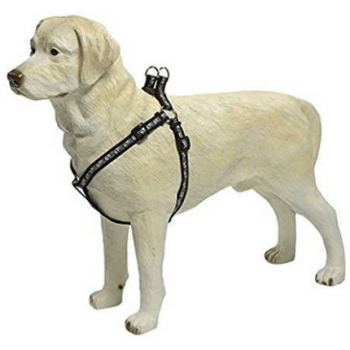 Beeztees σαμαράκι νάυλον Paw print, μαύρο 25x50-80 Beeztees σαμαράκι νάυλον Paw print, μαύρο 25x50-80