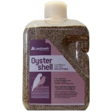 Landmark Oyster shell Large - 2600gr Landmark Oyster shell Large - 2600gr