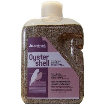 Landmark Oyster shell Large - 2600gr Landmark Oyster shell Large - 2600gr