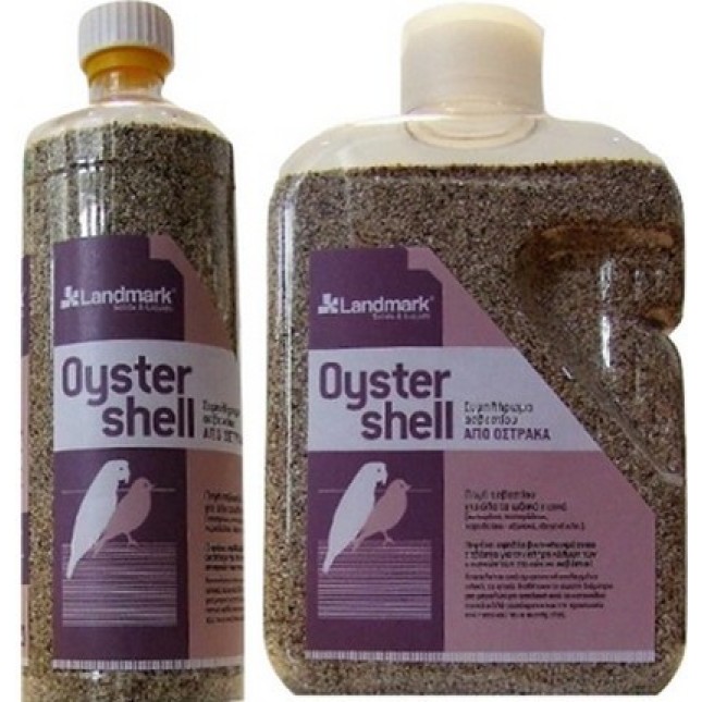 Landmark Oyster shell Landmark Oyster shell