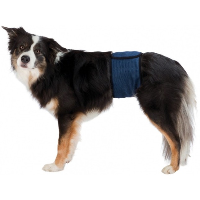 Trixie ζώνη για πάνα αρσενικών σκύλων βοηθά με την ακράτεια και τις λοιμώξεις xl  65-75cm μπλε