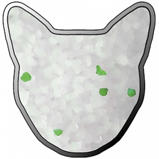 Duvo ʼμμος γάτας, silica gel, άρωμα μήλο, 5lt