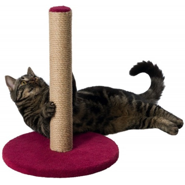 Trixie νυχοδρόμιο σε δίσκο 42cm Trixie νυχοδρόμιο σε δίσκο 42cm