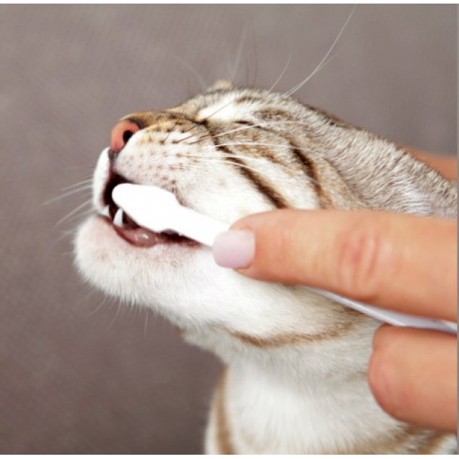 Trixie σετ οδοντικής φροντίδας για γάτες