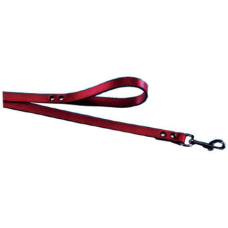 Tatrapet οδηγός δερμάτινος 10mm x 100cm