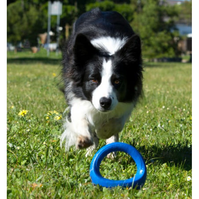 Rogz dogz παιχνίδι σκύλου Fetch Pop-Upz Self Righting 145mm Rogz dogz παιχνίδι σκύλου Fetch Pop-Upz Self Righting 145mm
