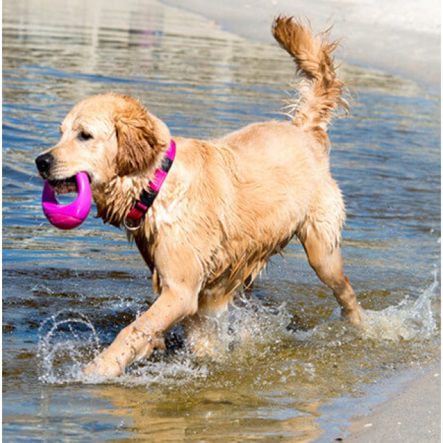Rogz dogz παιχνίδι σκύλου Fetch Pop-Upz Self Righting medium/large ρόζ 145mm Rogz dogz παιχνίδι σκύλου Fetch Pop-Upz Self Righting medium/large ρόζ 145mm