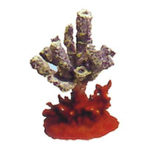 Boyu διακοσμητικό κοράλλι BCW 102 8x6x13cm