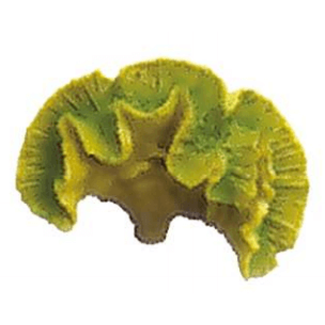 Boyu διακοσμητικό κοράλλι BCW 75 15x6x10cm