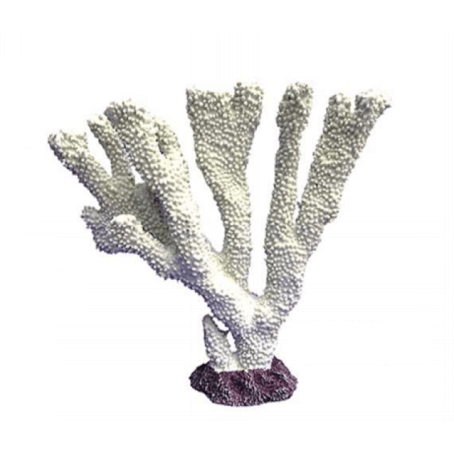 Vitality Διακοσμητικό κοράλλι λευκό 25 Χ 7 Χ 25