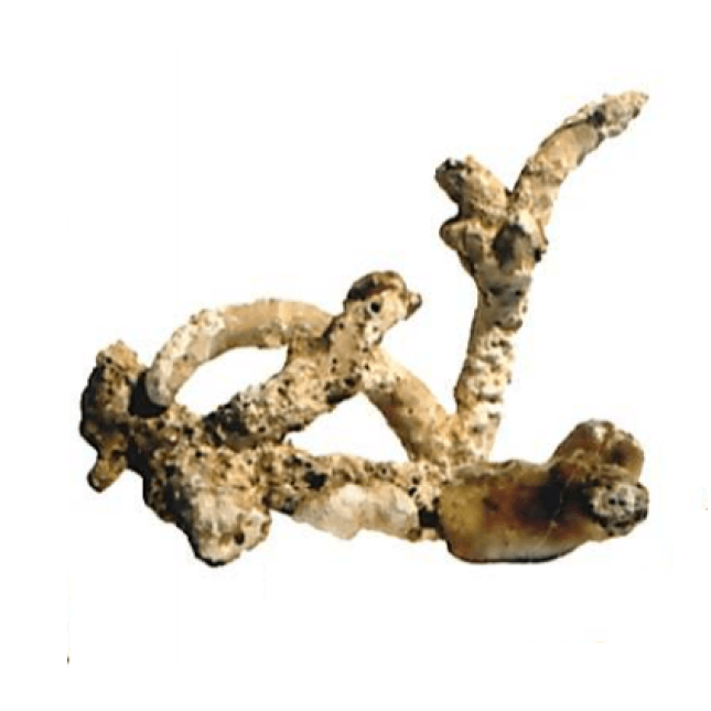 Hobby πέτρα reef trunks (κιλό) Hobby πέτρα reef trunks (κιλό)