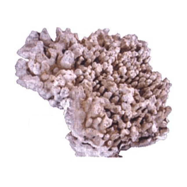 Hobbu πέτρα reef 20 - 50εκ (κιλό) Hobbu πέτρα reef 20 - 50εκ (κιλό)
