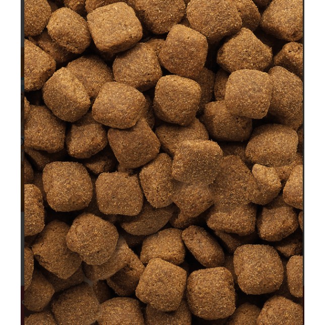 Versele-Laga Classic Dog Senior Πλήρης τροφή κατάλληλη για ηλικιωμένους σκύλους όλων των φυλών Versele-Laga Classic Dog Senior Πλήρης τροφή κατάλληλη για ηλικιωμένους σκύλους όλων των φυλών