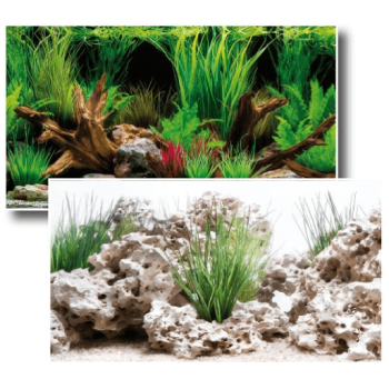 Wave double background wonder blister 30x60cm Wave double background wonder blister 30x60cm