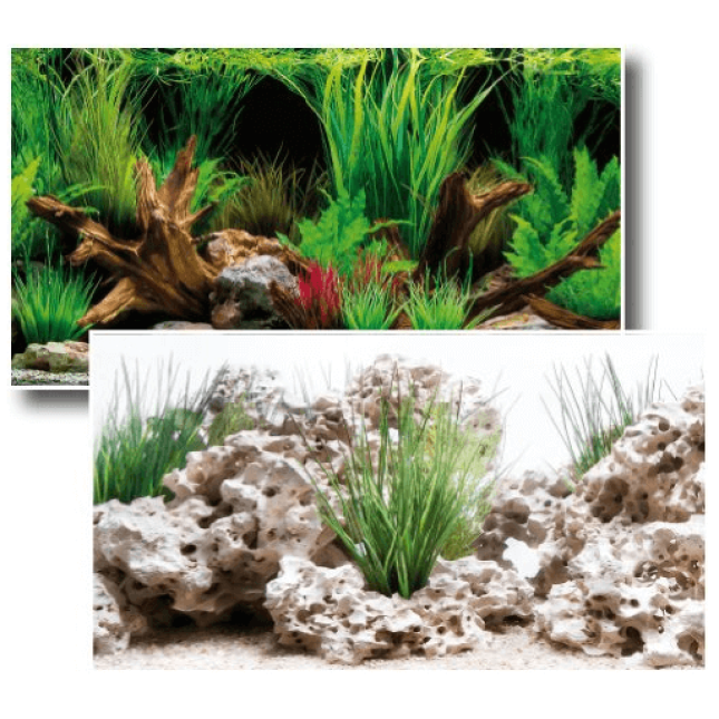 Wave double background wonder blister 30x60cm Wave double background wonder blister 30x60cm