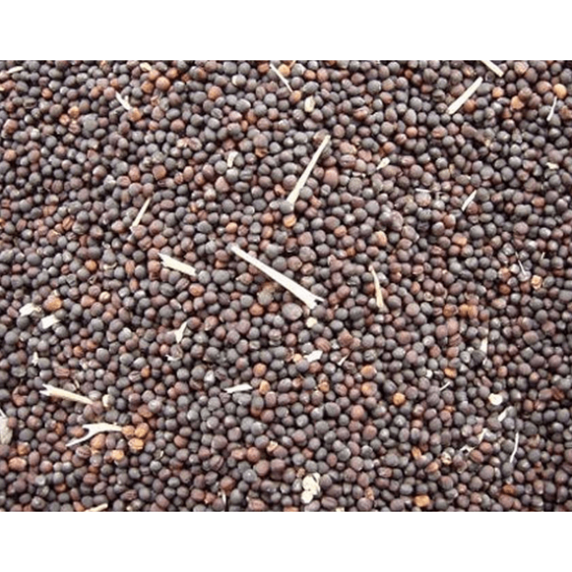 Versele-laga ρούψεν 25kg Versele-laga ρούψεν 25kg