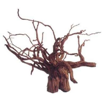 Φυσικό ξύλο red moor (κιλό)