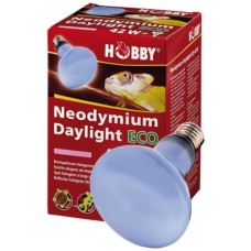 Hobby λάμπα Neodymium Daylight ECO για μοντέρνο και αποτελεσματικό συνδυασμό θερμότητας και φωτός