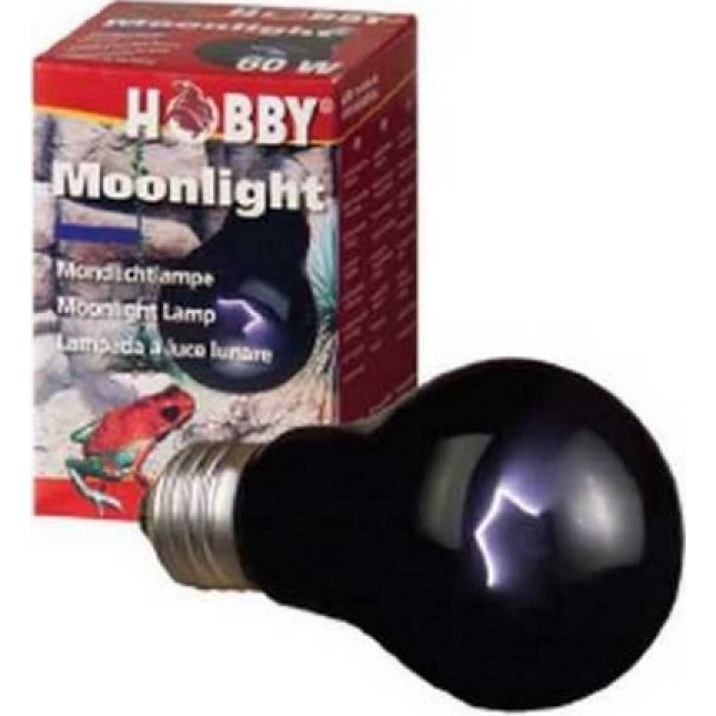 Hobby λάμπα moon light 60w (λάμπα νυκτός)