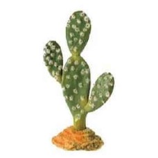 Hobby kaktus sahara  19 cm.