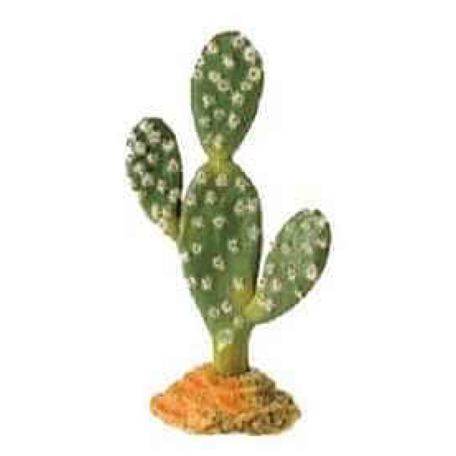 Hobby kaktus sahara  19 cm.