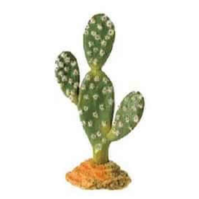 Hobby kaktus sahara 19 cm. Hobby kaktus sahara 19 cm.