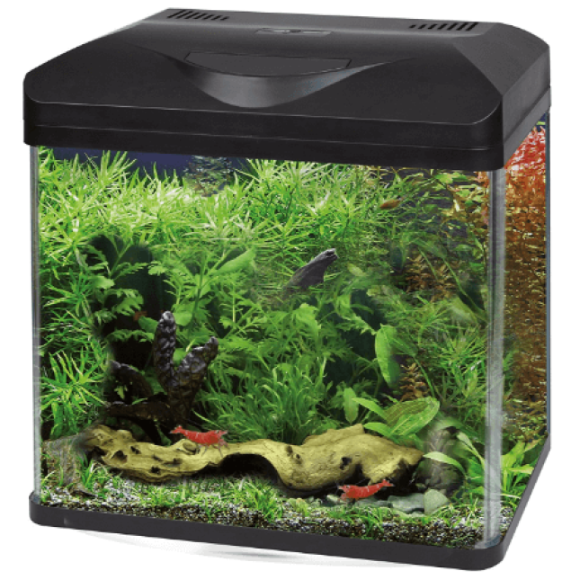 Amtra ενυδρείο laguna 40 led μαύρο 38x26X41,5cm Amtra ενυδρείο laguna 40 led μαύρο 38x26X41,5cm