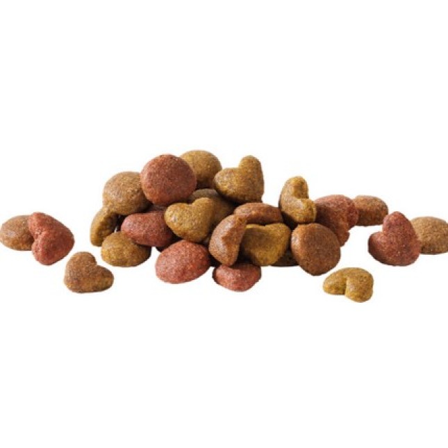 Versele-Laga Happy life Adult Salmon με Σολoμό 15kg