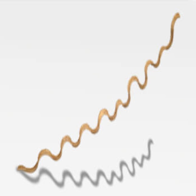 Croci Winding liane 100cm διακοσμητικό ερπεταρίου