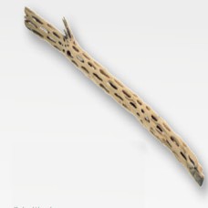 Croci διακοσμητικό ερπεταρίου Suka wood 40-65 cm Croci διακοσμητικό ερπεταρίου Suka wood 40-65 cm
