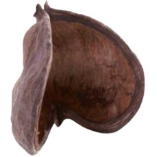 Croci διακοσμητικό ενυδρείου Sumo pod 11x9x8cm Croci διακοσμητικό ενυδρείου Sumo pod 11x9x8cm