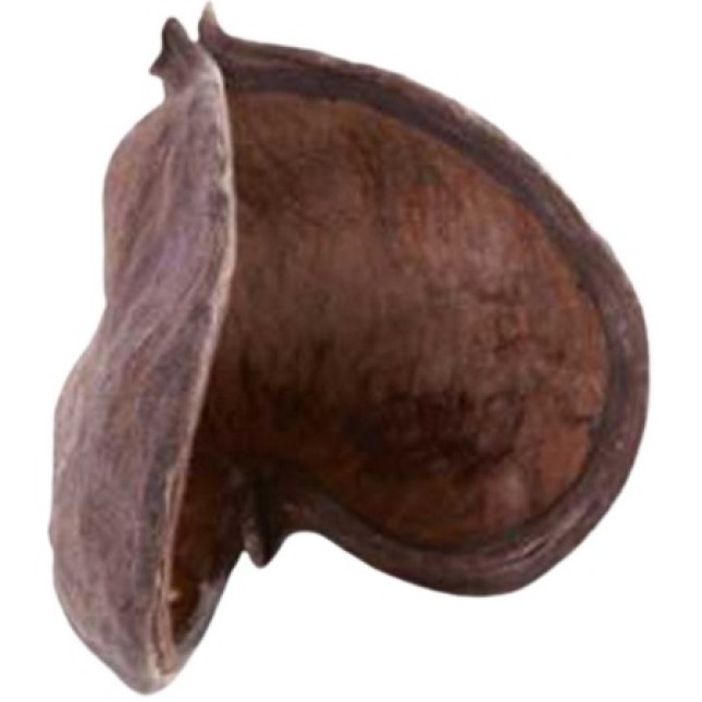 Croci διακοσμητικό ενυδρείου Sumo pod 11x9x8cm Croci διακοσμητικό ενυδρείου Sumo pod 11x9x8cm