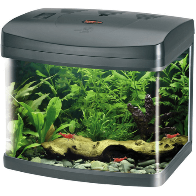 Croci amtra ενυδρείο xcube 26l led μαύρο Croci amtra ενυδρείο xcube 26l led μαύρο