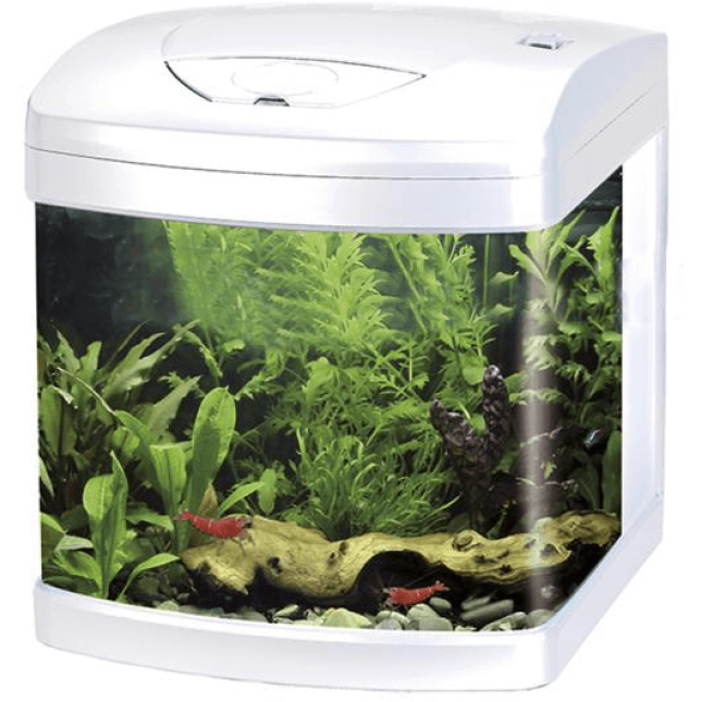 Croci amtra ενυδρείο xcube 26l λευκό led Croci amtra ενυδρείο xcube 26l λευκό led