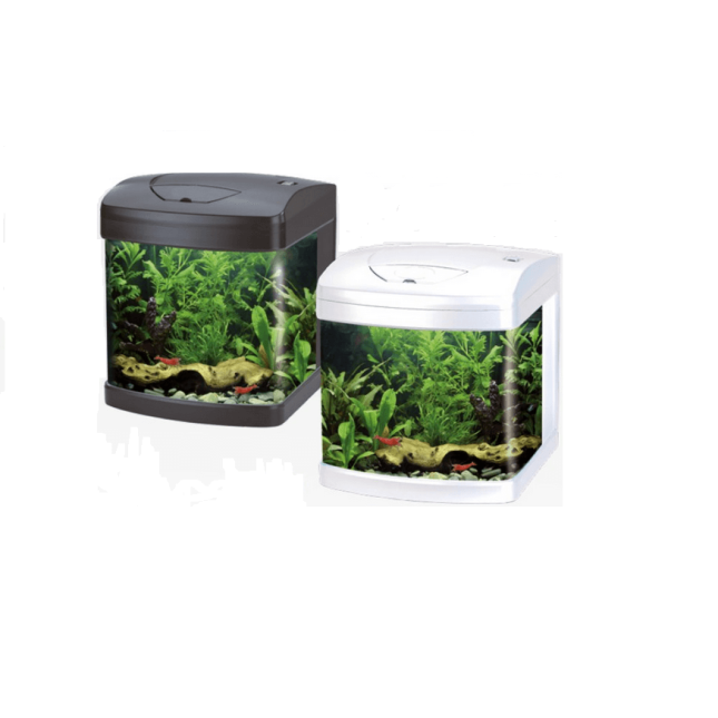 Croci amtra ενυδρεία xcube 26l μαύρο & λευκό led Croci amtra ενυδρεία xcube 26l μαύρο & λευκό led