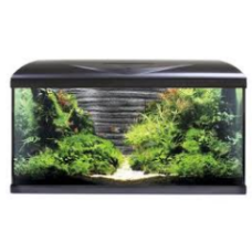 Croci amtra μαύρο ενυδρείο system 80 led rock background Croci amtra μαύρο ενυδρείο system 80 led rock background