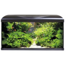 Croci amtra μαύρο ενυδρείο system 80 led root background Croci amtra μαύρο ενυδρείο system 80 led root background