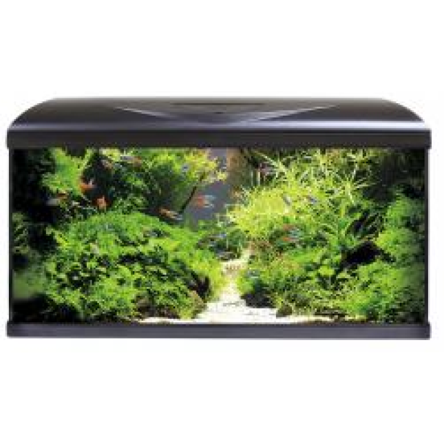 Croci amtra μαύρο ενυδρείο system 80 led root background