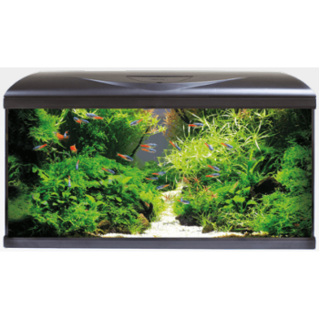 Croci amtra ενυδρείο system 80 led μαύρο Croci amtra ενυδρείο system 80 led μαύρο
