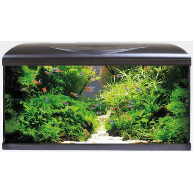 Croci amtra ενυδρείο system 80 led μαύρο Croci amtra ενυδρείο system 80 led μαύρο