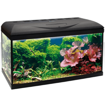 Croci amtra ενυδρείο basic 60 led
