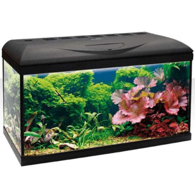 Croci amtra ενυδρείο basic 60 led