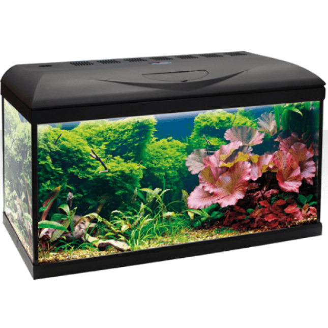 Croci amtra ενυδρείο basic 80 led Croci amtra ενυδρείο basic 80 led