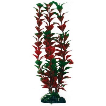 Wave διακοσμητικό φυτό ludwigia 27cm Wave διακοσμητικό φυτό ludwigia 27cm